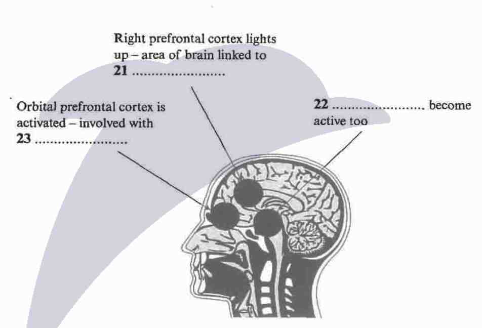 John McCrone reviews recent research on humour